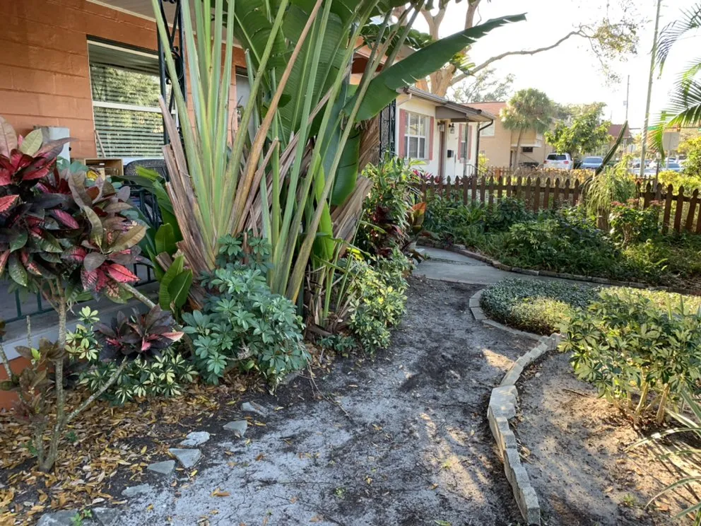 Reliable outdoor landscaping with custom design in Saint Petersburg, FL by Bear Paw Landscape Company