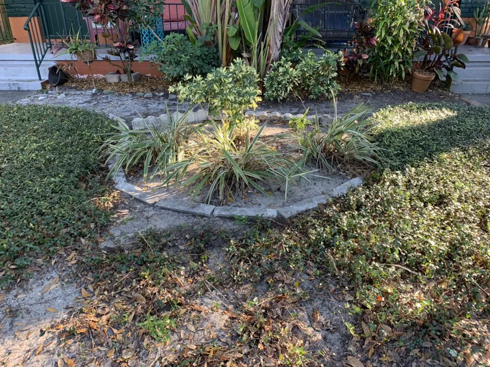 Professional yard maintenance in Saint Petersburg, FL - Bear Paw Landscape Company