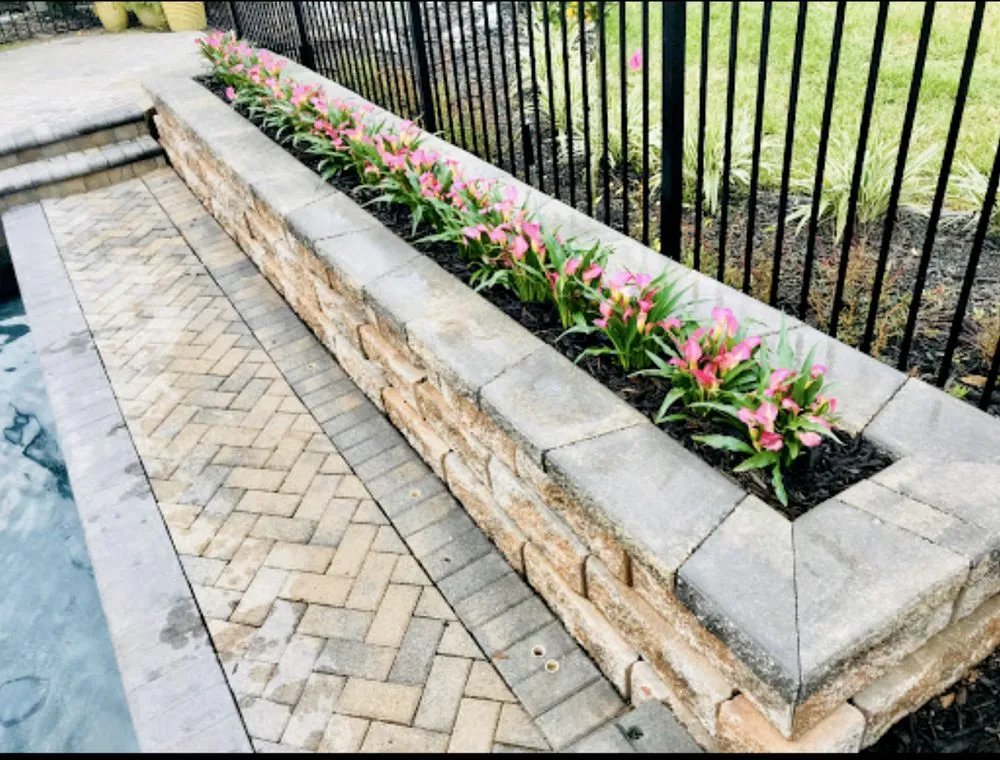 Trusted yard maintenance with custom design across Saint Petersburg, FL - Bear Paw Landscape Company