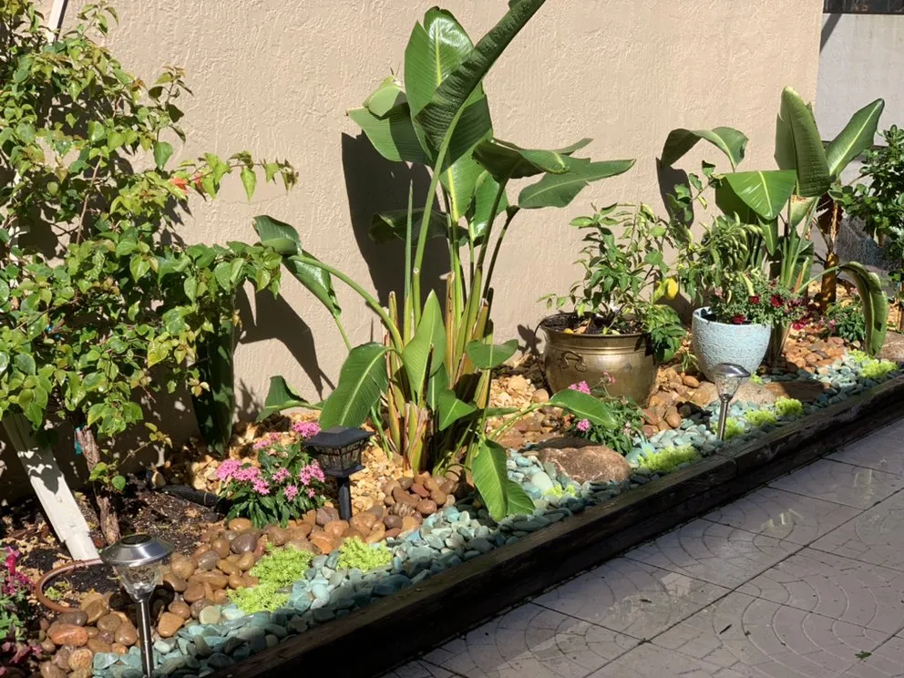 Local lawn mowing service in Saint Petersburg, FL by Bear Paw Landscape Company