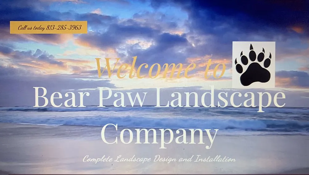 Professional yard maintenance with custom design across Saint Petersburg, FL - Bear Paw Landscape Company