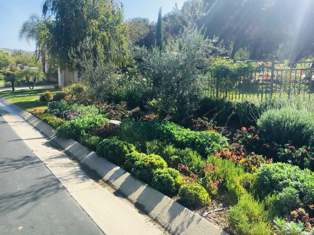 Top-rated landscape design experts serving Ontario, CA - Bear Paw Landscape