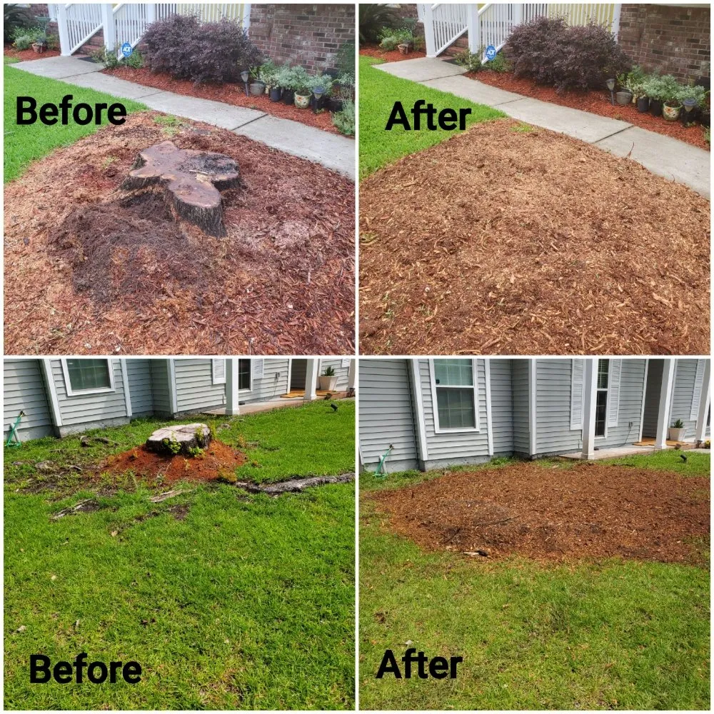 Professional garden landscaping for year-round maintenance across North Charleston, SC - Bear Stump Removal