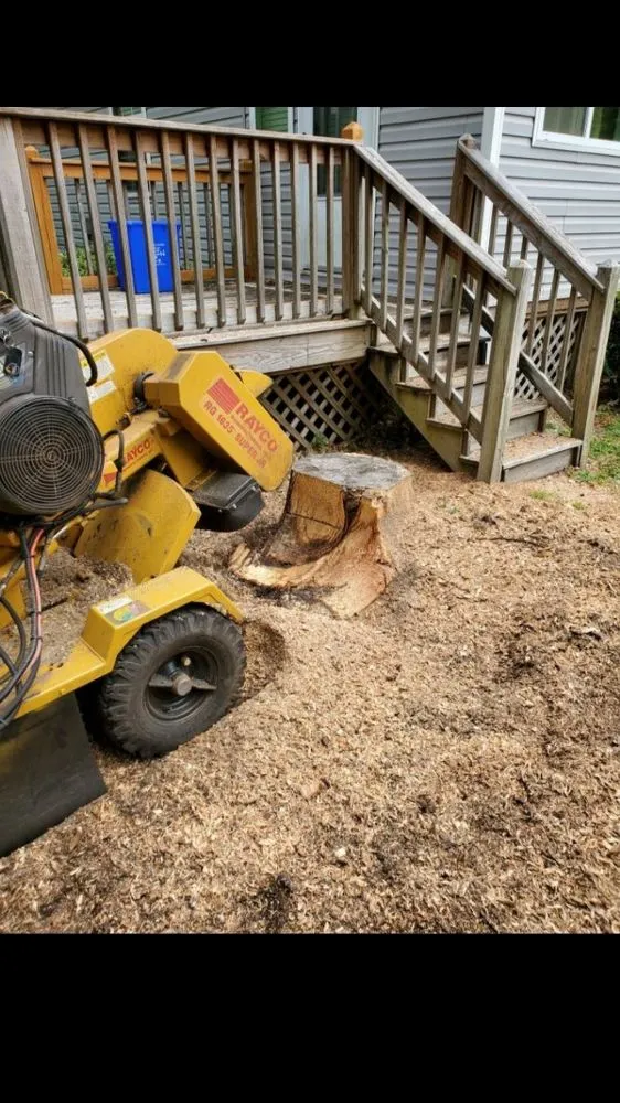 Trusted outdoor landscaping for outdoor upgrades across North Charleston, SC - Bear Stump Removal