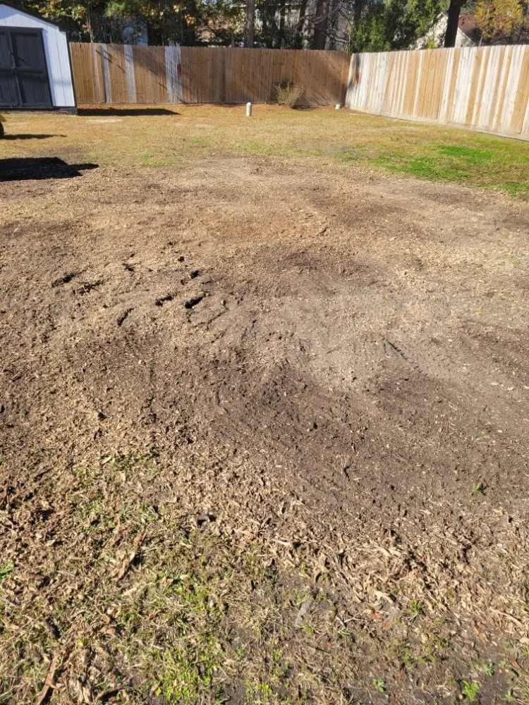 Custom lawn mowing service experts serving North Charleston, SC - Bear Stump Removal