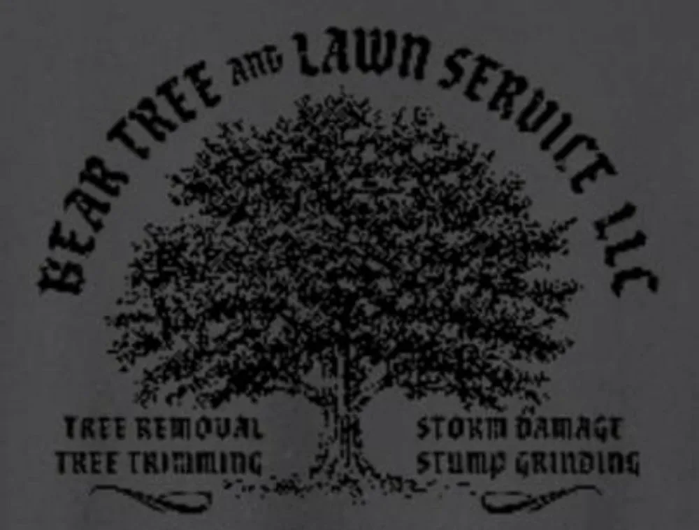 Professional outdoor landscaping for beautiful yards across Saint Peters, MO - Bear Tree and Lawn Services