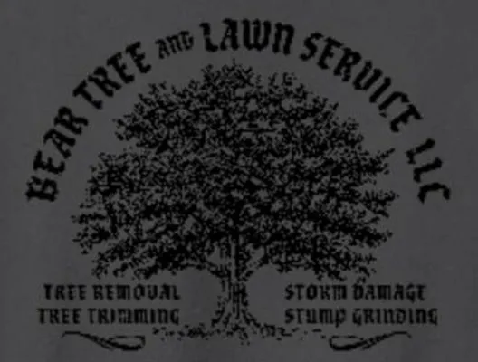 Bear Tree and Lawn Services Logo