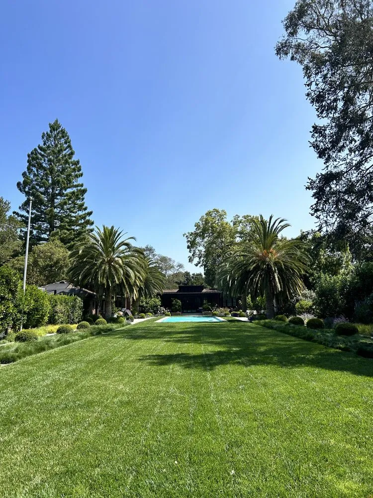 Top-rated outdoor landscaping in Fremont, CA by Bear Tree Company