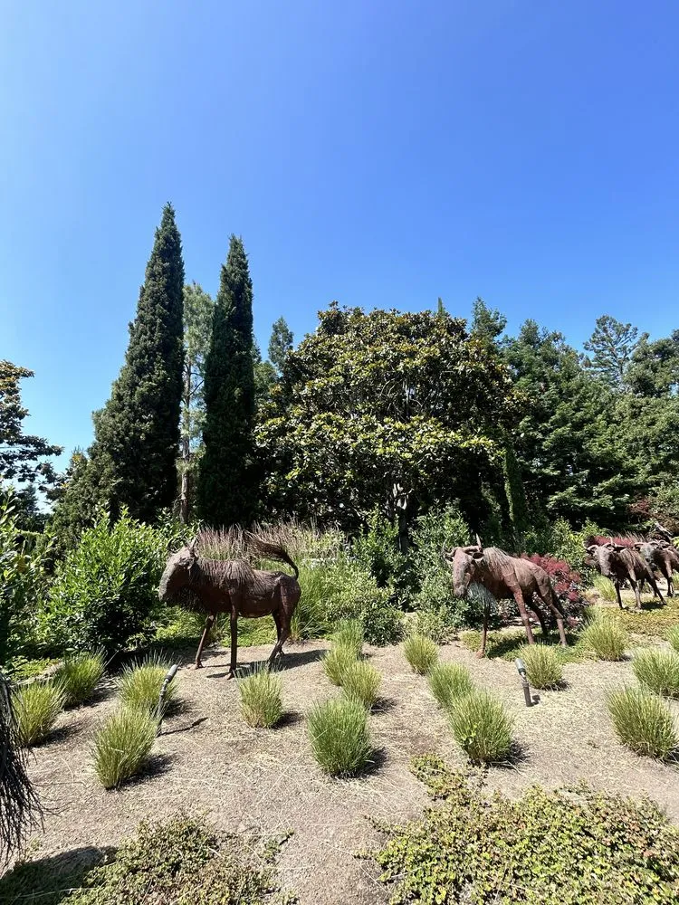 Top-rated lawn mowing service experts serving Fremont, CA - Bear Tree Company