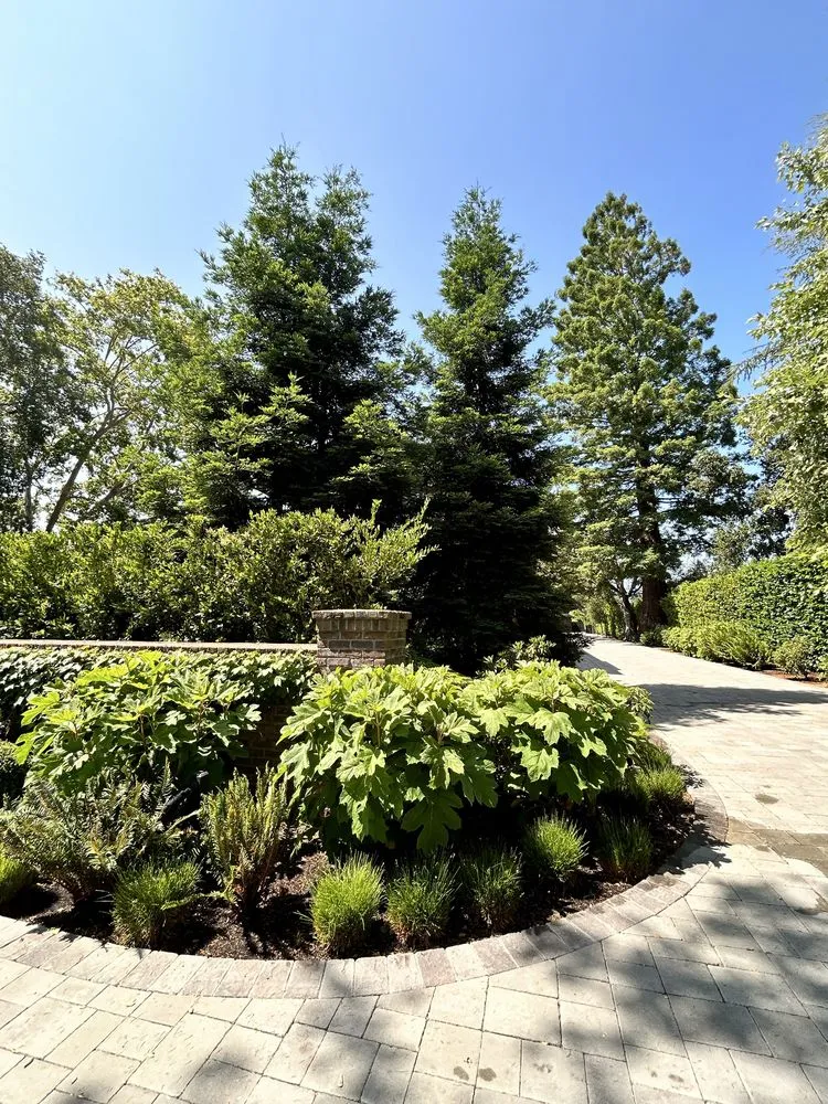 Professional yard maintenance for residential properties across Fremont, CA - Bear Tree Company