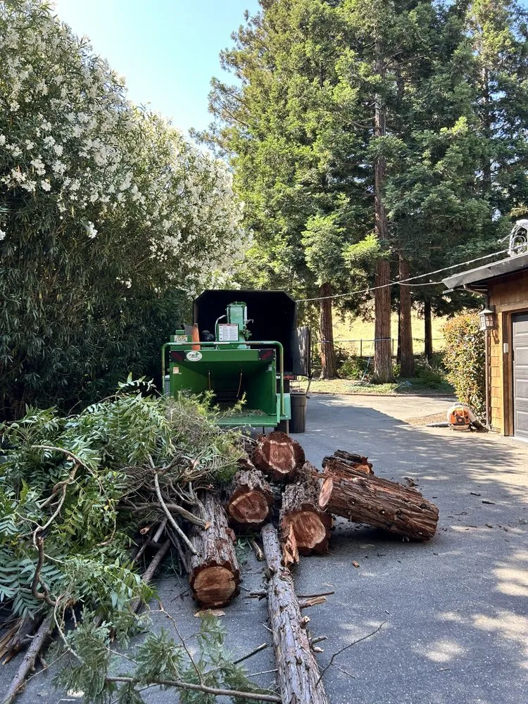 Trusted landscape installation experts serving Fremont, CA - Bear Tree Company