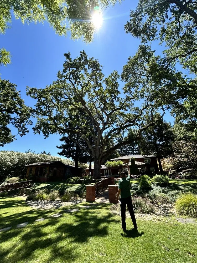 Professional residential landscaping near you in Fremont, CA by Bear Tree Company