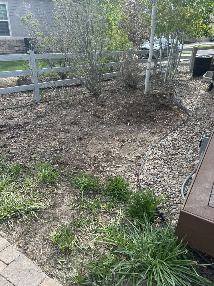 Custom landscape design in Denver, CO by Bear Valley Landscape & Sprinklers