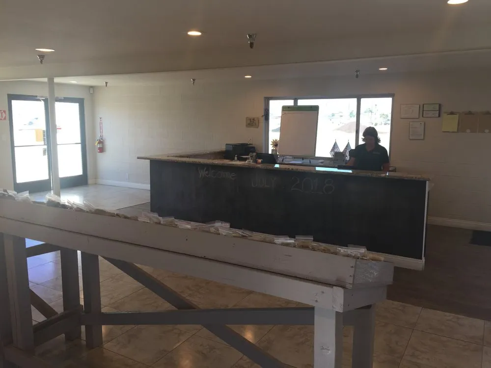 Professional lawn care service in Apple Valley, CA by Bear Valley Rock n Wood