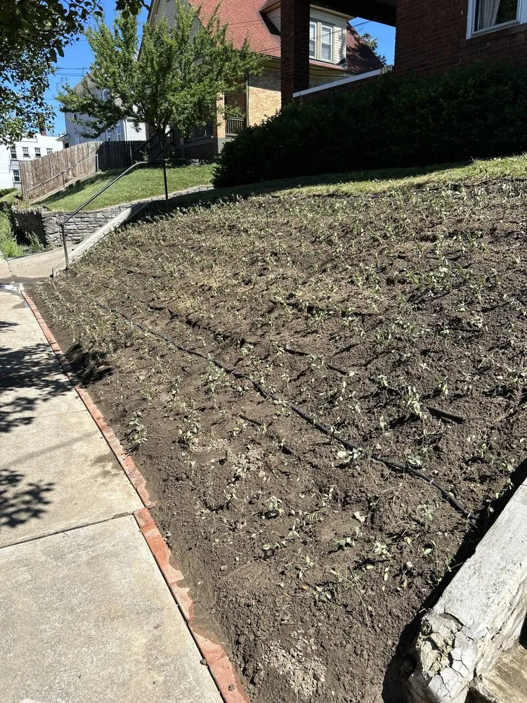 Professional outdoor landscaping for beautiful yards in Cincinnati, OH by Bearcat Landscaping