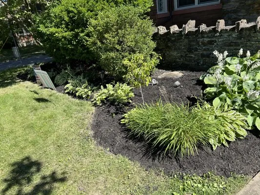 Bearcat Landscaping Logo