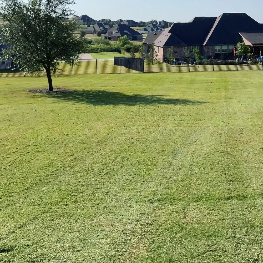 Custom yard cleanup service for residential properties across Benbrook, TX - Bearcat Lawn Care LLC