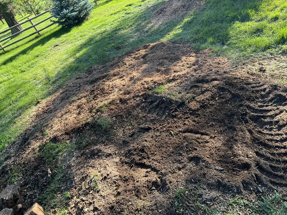 Affordable yard cleanup service in Bigfork, MT by BearDance Forestry