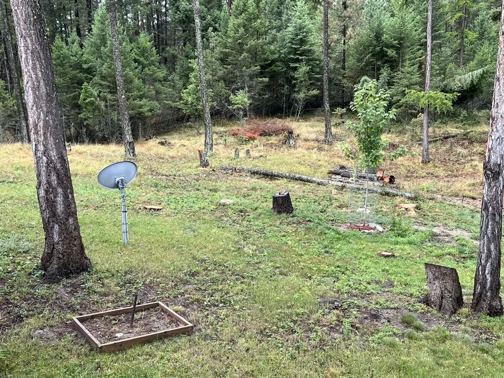 Custom garden landscaping for beautiful yards in Bigfork, MT by BearDance Forestry