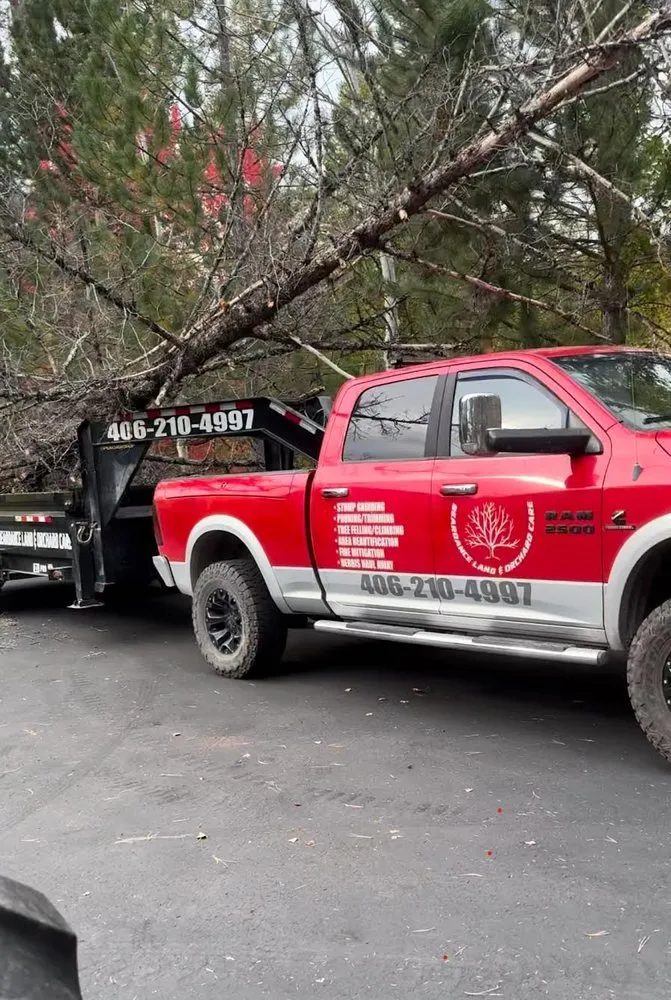 Trusted landscape installation experts serving Bigfork, MT - BearDance Forestry