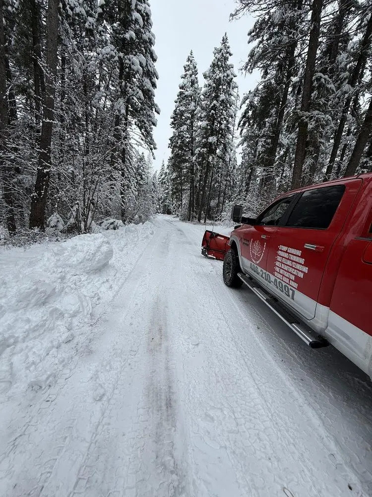 Professional yard maintenance in Bigfork, MT by BearDance Forestry