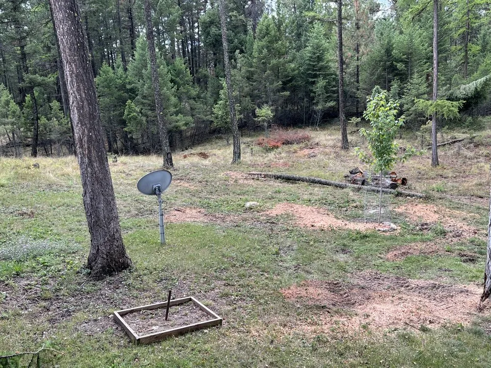 Trusted garden landscaping in Bigfork, MT - BearDance Forestry