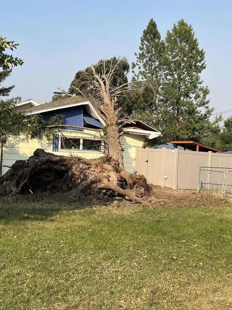 Affordable lawn mowing service in Bigfork, MT by BearDance Forestry