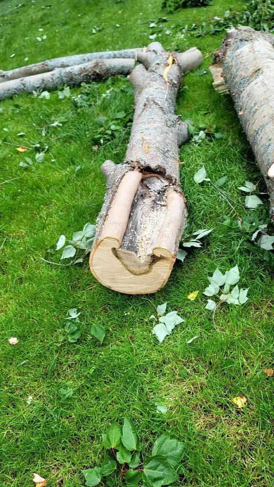 Trusted landscaping services with custom design in Bigfork, MT by BearDance Forestry