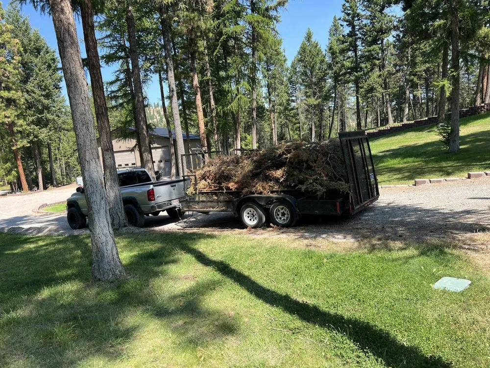 Expert landscape design experts serving Bigfork, MT - BearDance Forestry
