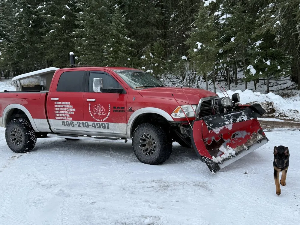 Trusted lawn mowing service for year-round maintenance in Bigfork, MT by BearDance Forestry