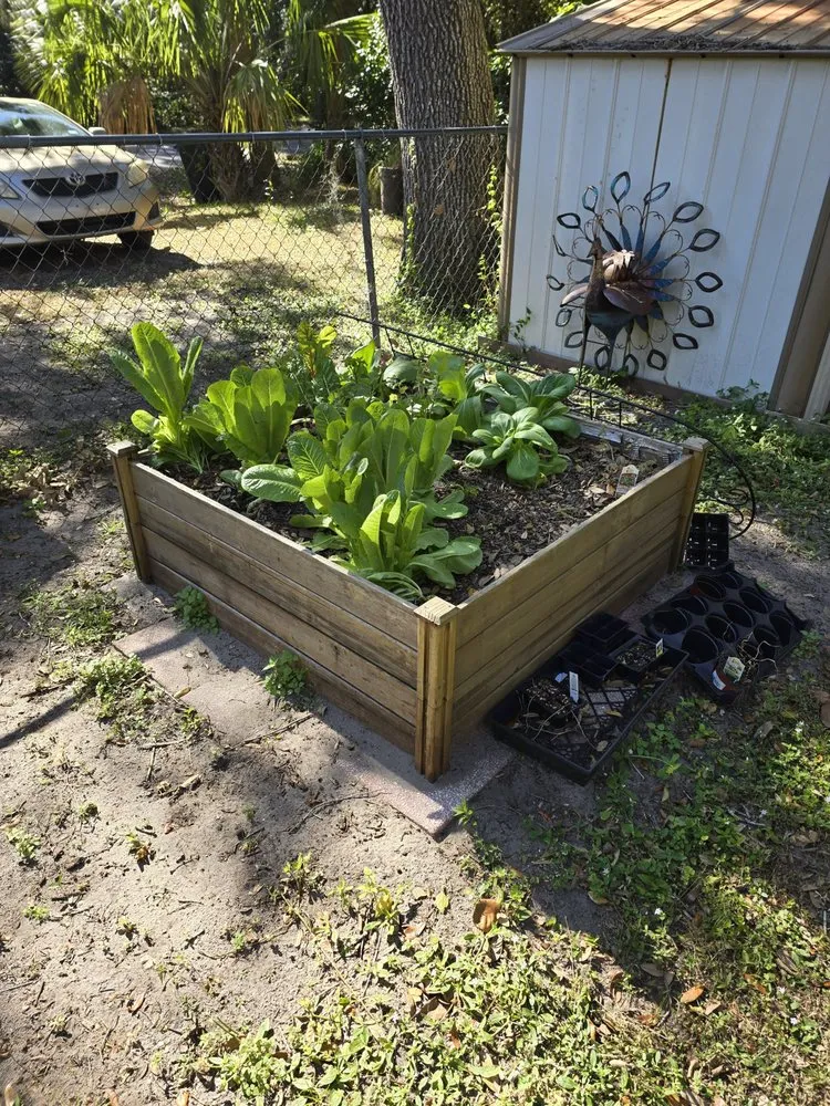 Custom landscaping services near you in Cocoa, FL by Bearded Bandito’s All Exterior Services