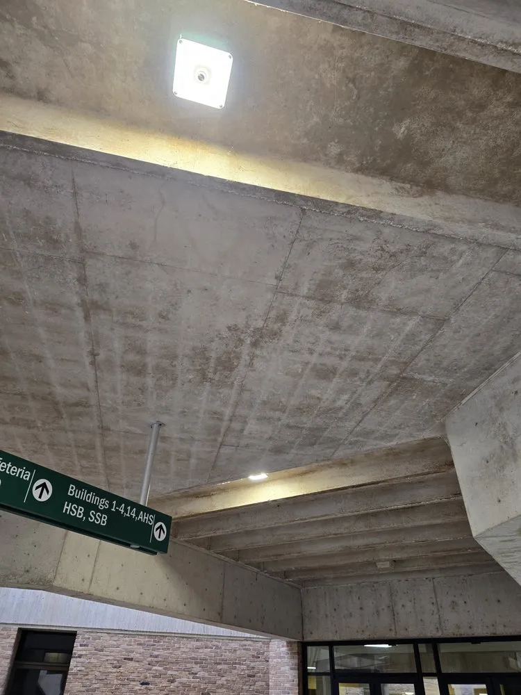 Top-rated lawn mowing service in Cocoa, FL - Bearded Bandito’s All Exterior Services