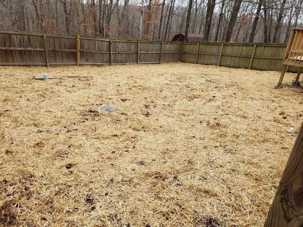 Top-rated garden landscaping in Rogers, AR - Bearded Brothers Landscaping