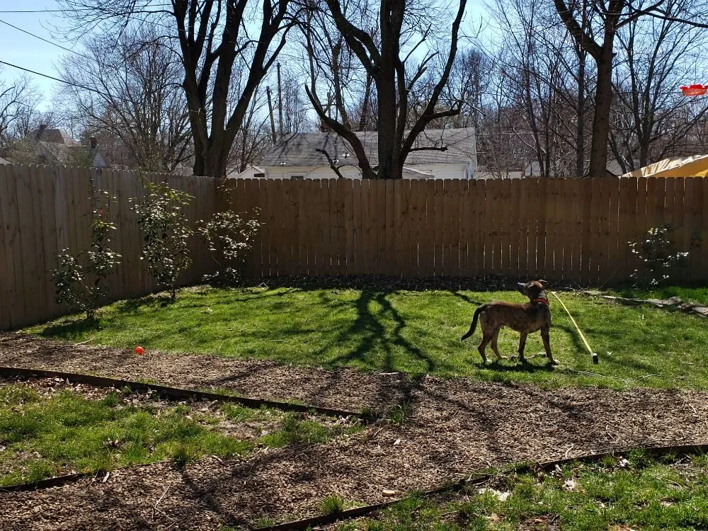 Professional yard maintenance in Rogers, AR - Bearded Brothers Landscaping