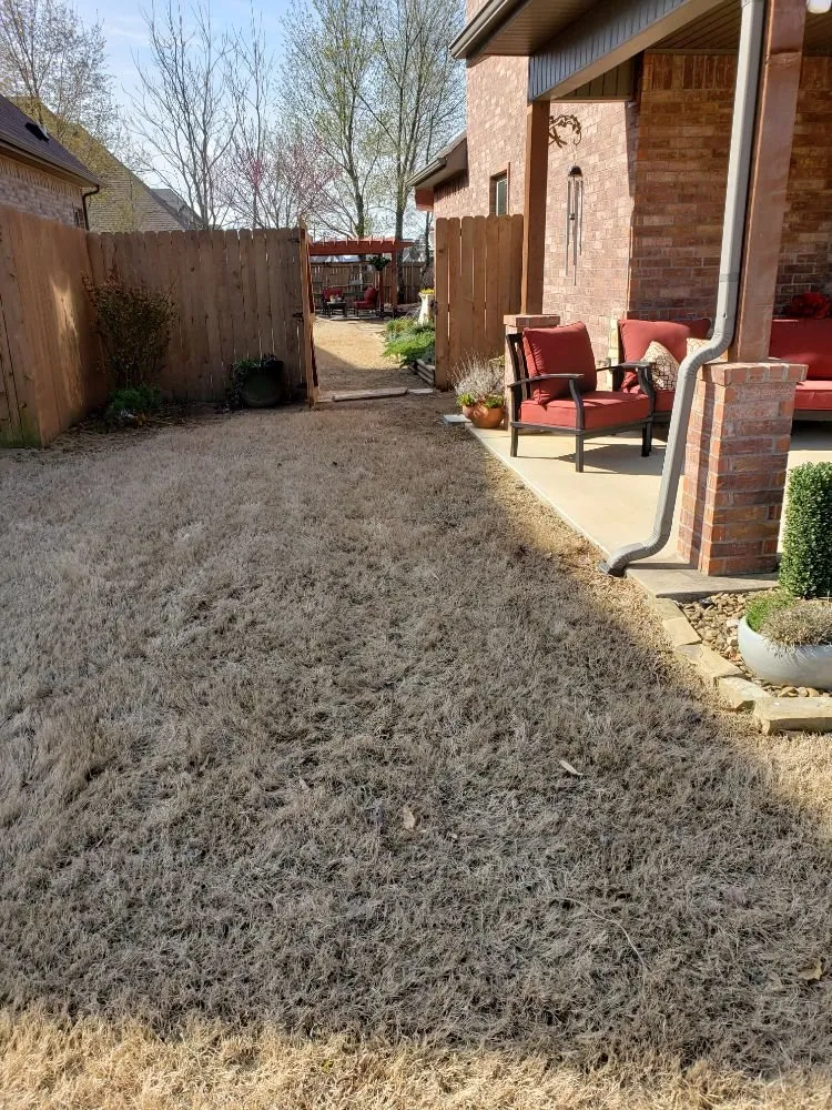 Top-rated outdoor landscaping for homes in Rogers, AR by Bearded Brothers Landscaping