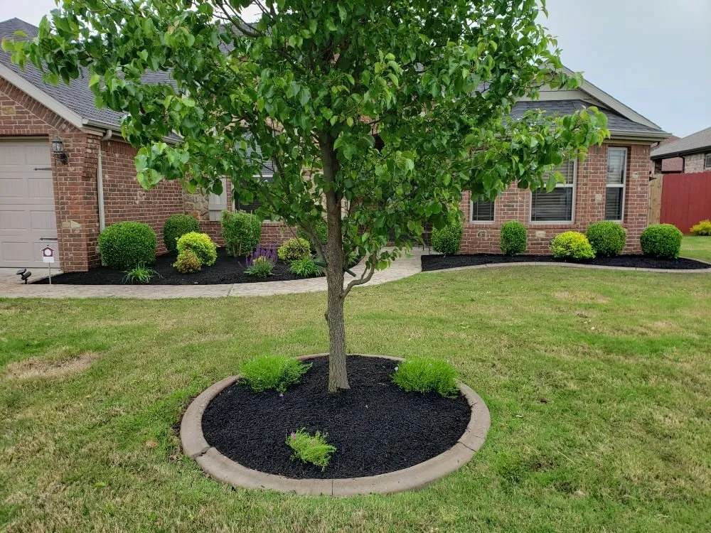 Affordable landscaping services experts serving Rogers, AR - Bearded Brothers Landscaping