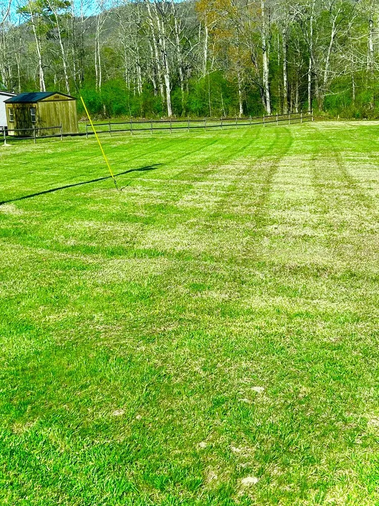 Professional garden landscaping for homes in Trion, GA by Bearded Guyz Lawn Care & Pressure Washing