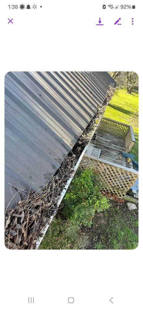 Local lawn mowing service with custom design in Trion, GA by Bearded Guyz Lawn Care & Pressure Washing