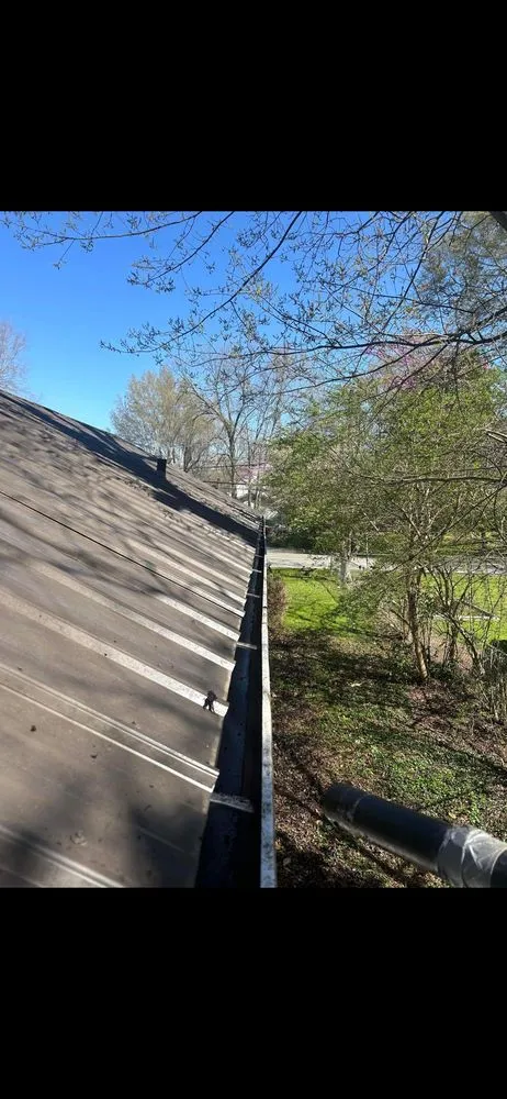 Expert residential landscaping in Trion, GA by Bearded Guyz Lawn Care & Pressure Washing