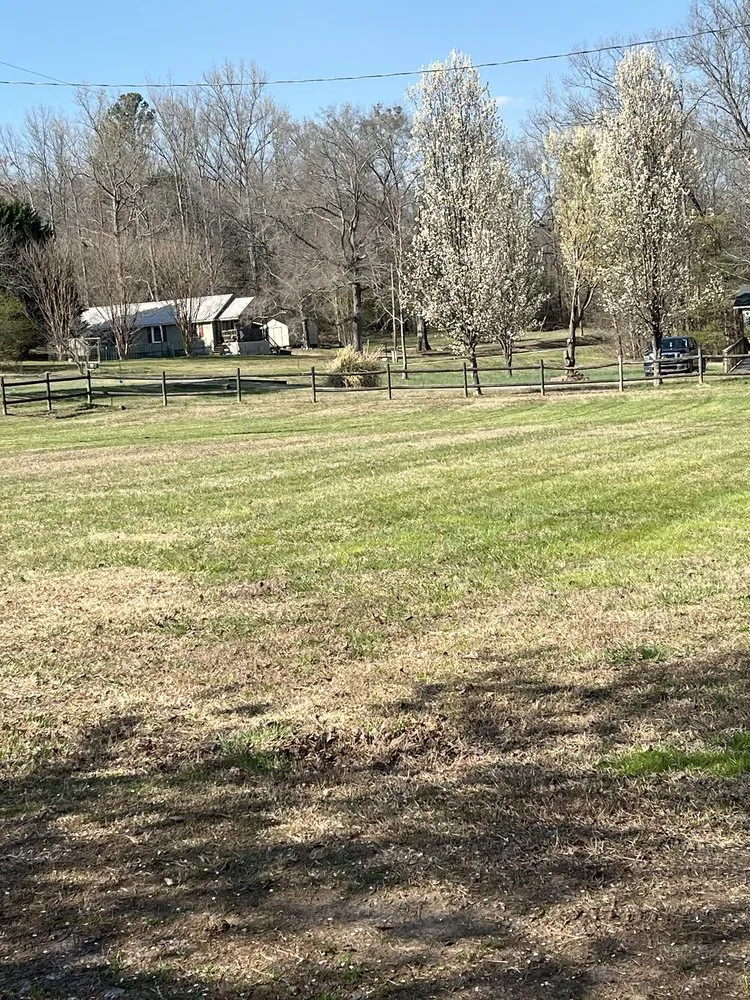 Professional landscape design for beautiful yards in Trion, GA by Bearded Guyz Lawn Care & Pressure Washing