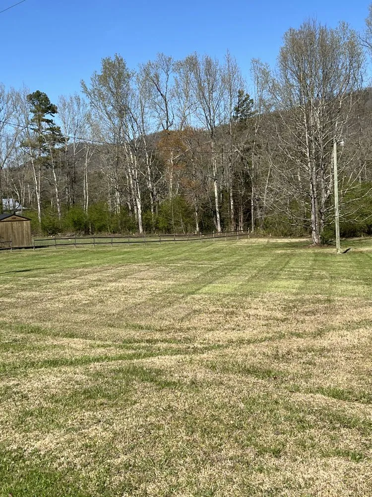Trusted landscaping services experts serving Trion, GA - Bearded Guyz Lawn Care & Pressure Washing