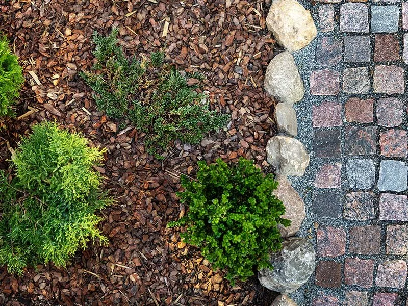 Local outdoor landscaping in Moreland, GA - Bearded Lady Construction Services