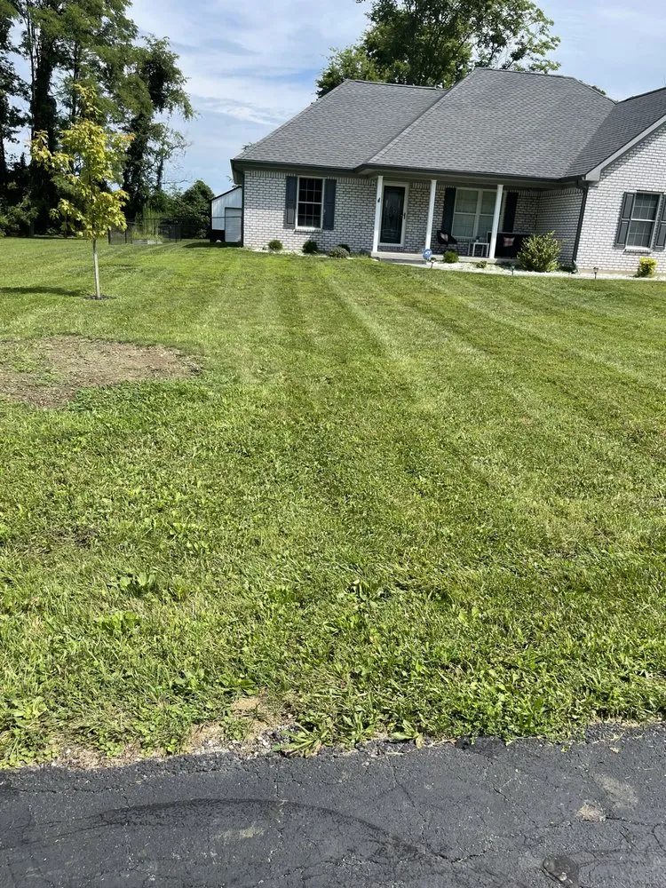 Professional landscaping services for homes across Indianapolis, IN - Bearded Lawn Care