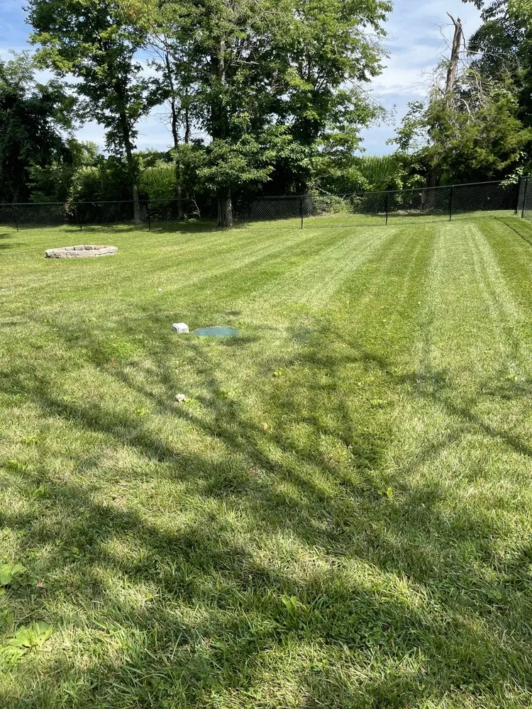 Reliable outdoor landscaping in Indianapolis, IN by Bearded Lawn Care
