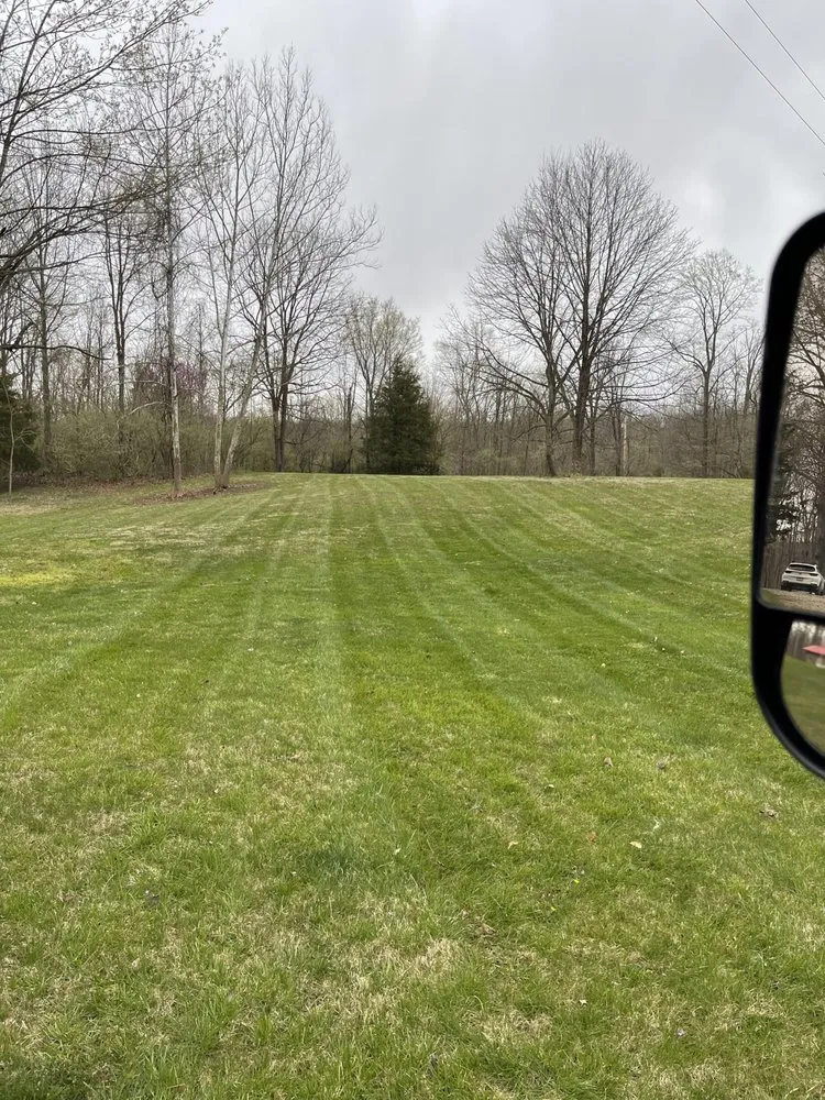 Professional yard cleanup service in Indianapolis, IN - Bearded Lawn Care