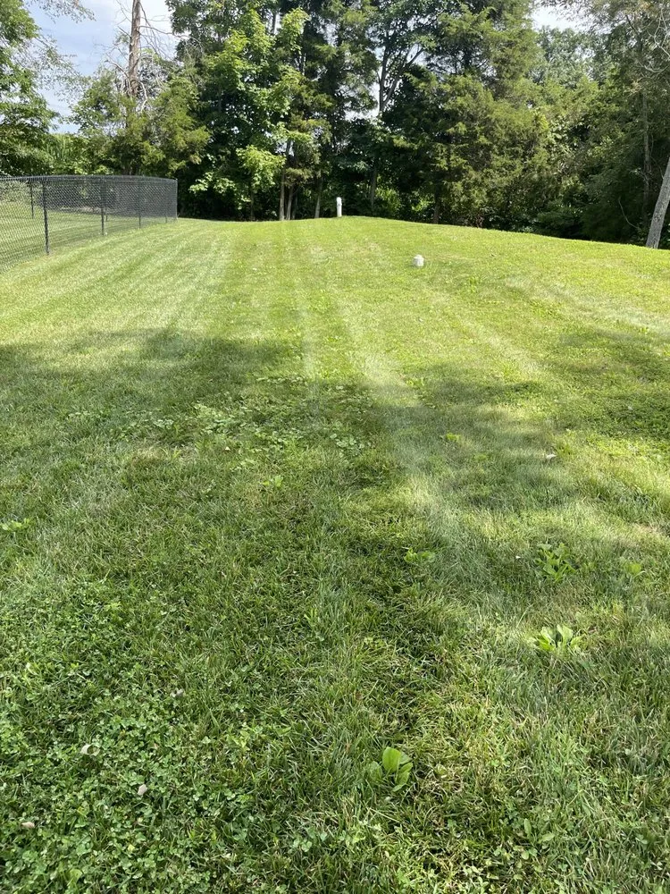 Local landscaping services for homes in Indianapolis, IN by Bearded Lawn Care