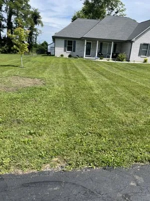 Bearded Lawn Care Logo