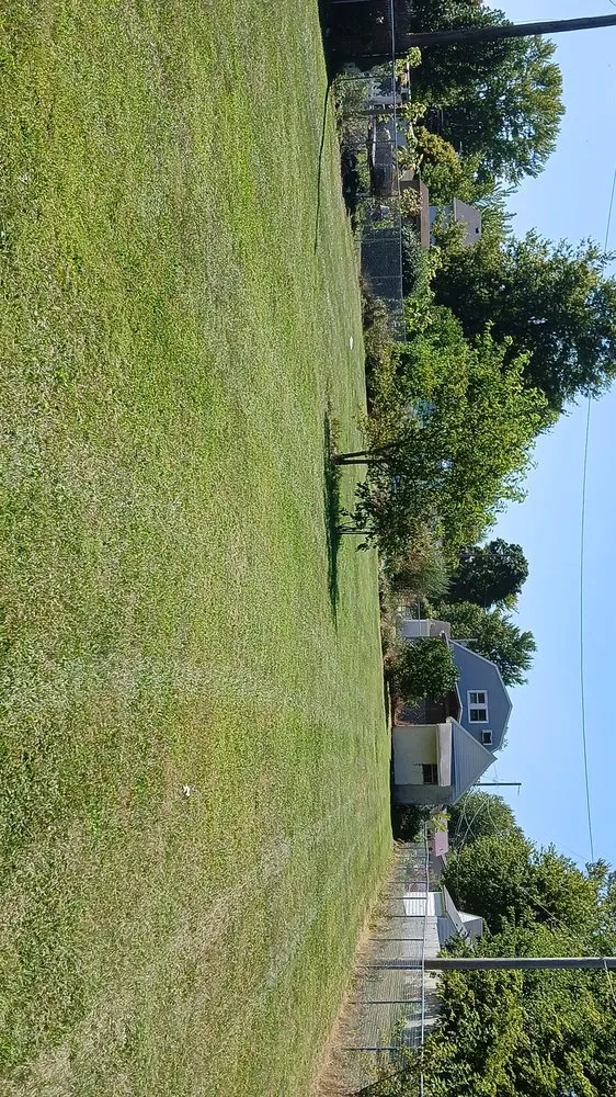 Local yard cleanup service experts serving Weston, OH - Bearded Property Management