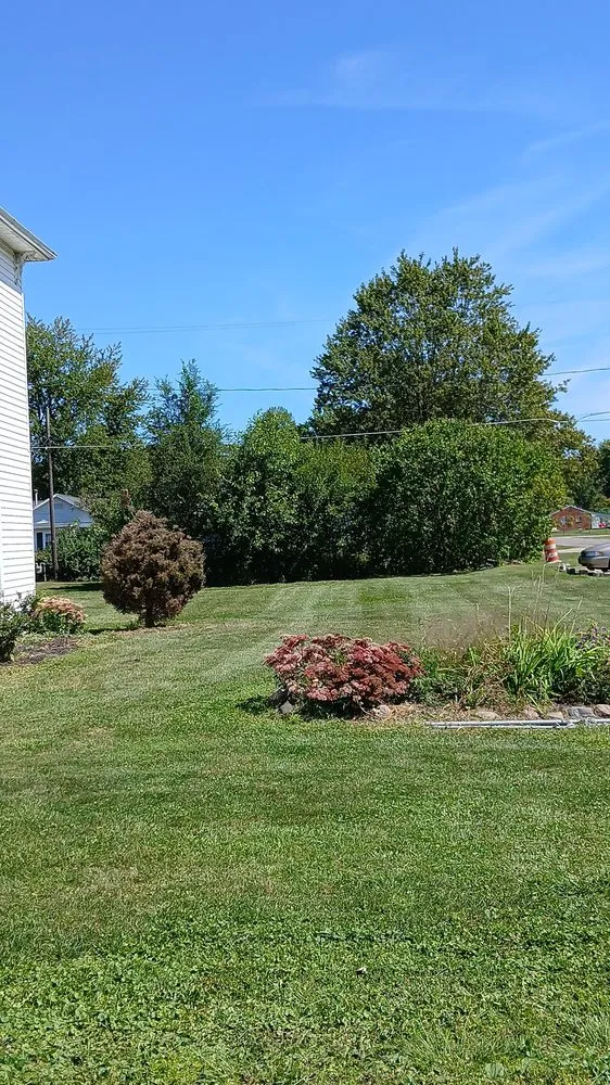 Expert landscaping services in Weston, OH - Bearded Property Management