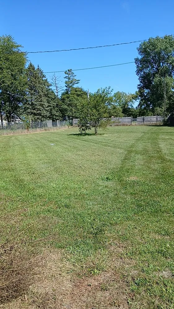 Reliable lawn mowing service experts serving Weston, OH - Bearded Property Management